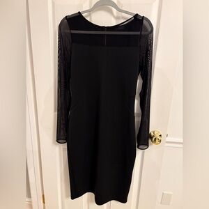The Limited Black Dress with Sheer Long Sleeves